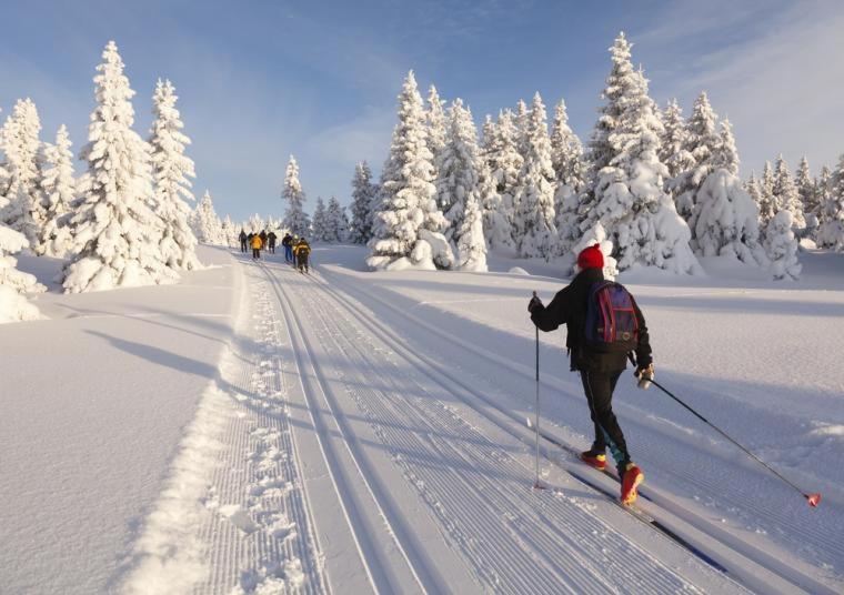 Villa Haukka Saariselkä Exterior foto